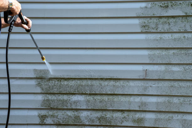 Demolition Debris Removal in Pomona Park, FL